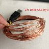 1m 10led USB