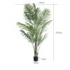200cm with pot