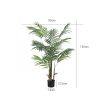 140cm with pot