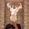 white Cardboard