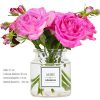 Transparent No flowe